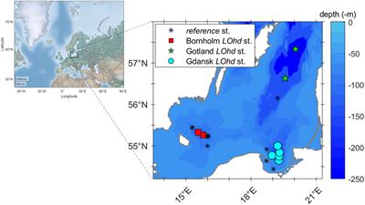 Qualitative variability of dissolved organic matter in the Baltic Sea sediments apparent from fluxes and optical properties